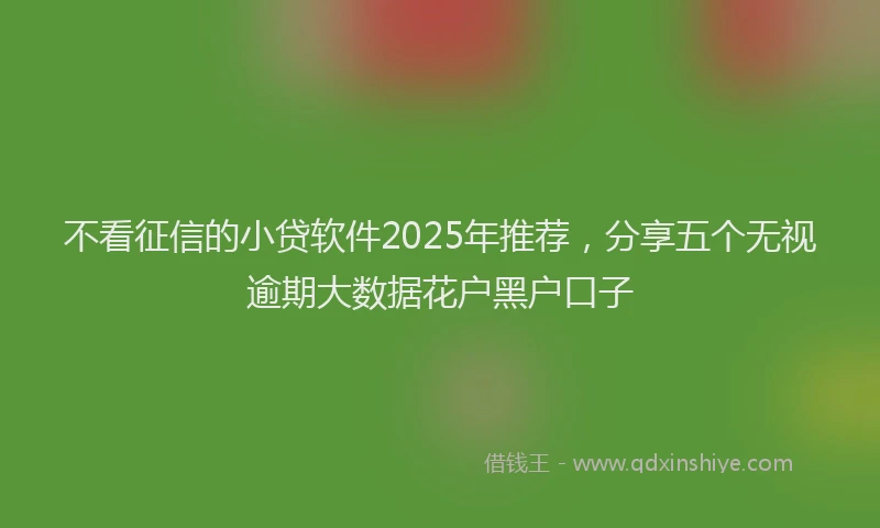 不看征信的小贷软件2025年推荐，分享五个无视逾期大数据花户黑户口子