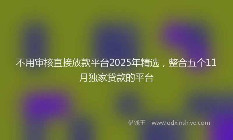 不用审核直接放款平台2025年精选，整合五个11月独家贷款的平台
