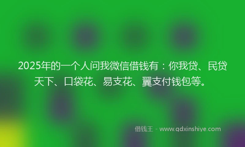2025年的一个人问我微信借钱有：你我贷、民贷天下、口袋花、易支花、翼支付钱包等。