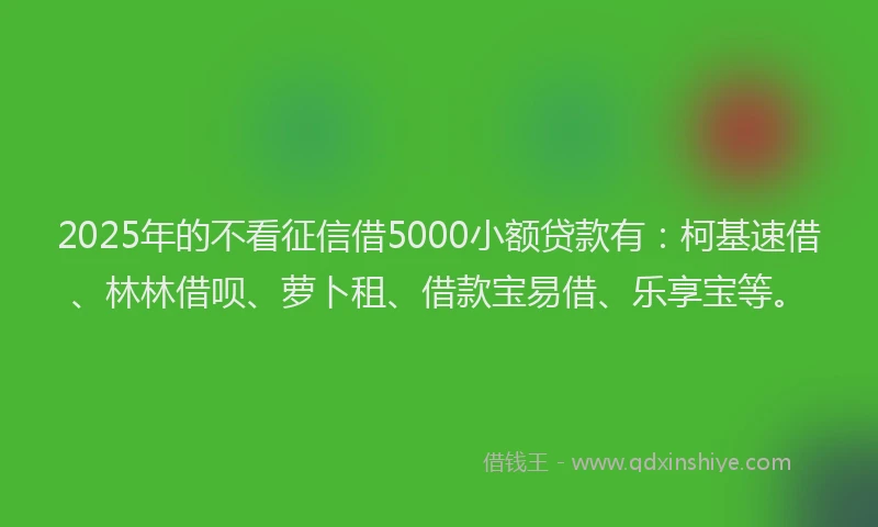 2025年的不看征信借5000小额贷款有：柯基速借、林林借呗、萝卜租、借款宝易借、乐享宝等。