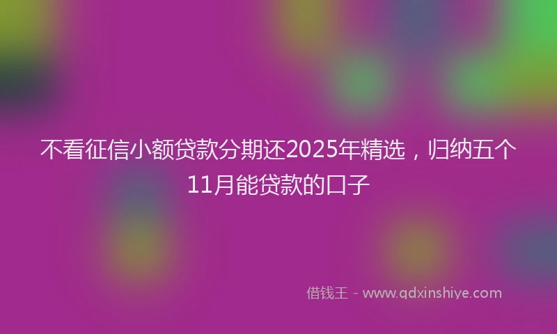 不看征信小额贷款分期还2025年精选，归纳五个11月能贷款的口子