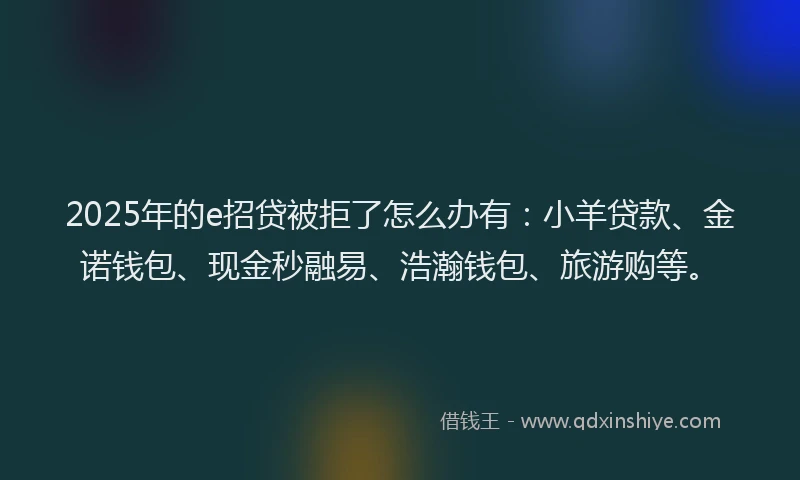 2025年的e招贷被拒了怎么办有：小羊贷款、金诺钱包、现金秒融易、浩瀚钱包、旅游购等。