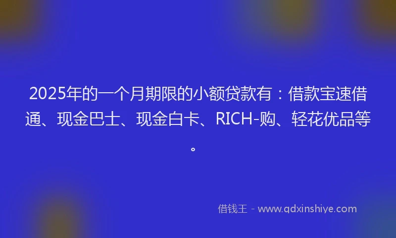 2025年的一个月期限的小额贷款有：借款宝速借通、现金巴士、现金白卡、RICH-购、轻花优品等。