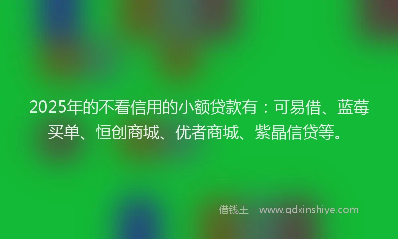 2025年的不看信用的小额贷款有：可易借、蓝莓买单、恒创商城、优者商城、紫晶信贷等。