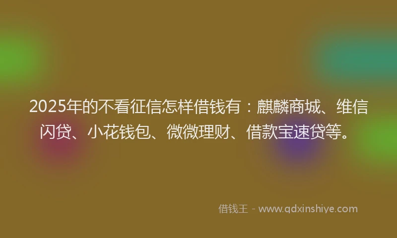 2025年的不看征信怎样借钱有：麒麟商城、维信闪贷、小花钱包、微微理财、借款宝速贷等。