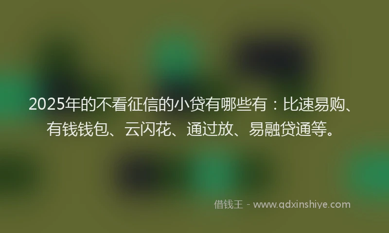 2025年的不看征信的小贷有哪些有：比速易购、有钱钱包、云闪花、通过放、易融贷通等。
