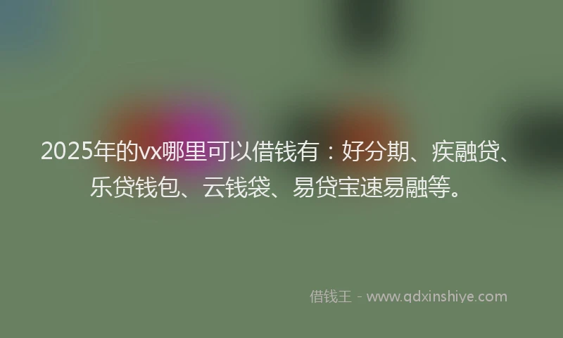 2025年的vx哪里可以借钱有：好分期、疾融贷、乐贷钱包、云钱袋、易贷宝速易融等。