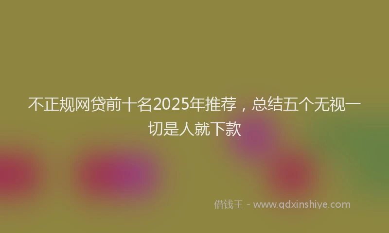 不正规网贷前十名2025年推荐，总结五个无视一切是人就下款