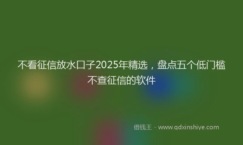 不看征信放水口子2025年精选，盘点五个低门槛不查征信的软件