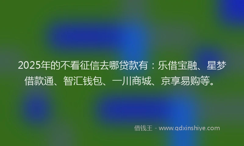 2025年的不看征信去哪贷款有：乐借宝融、星梦借款通、智汇钱包、一川商城、京享易购等。