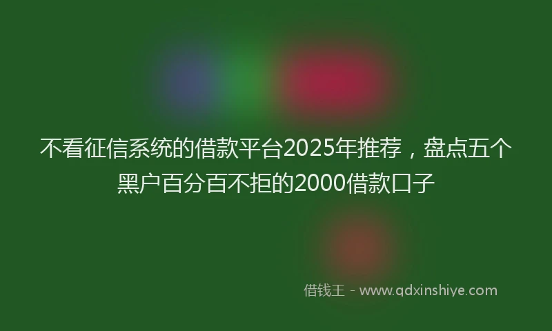 不看征信系统的借款平台2025年推荐，盘点五个黑户百分百不拒的2000借款口子