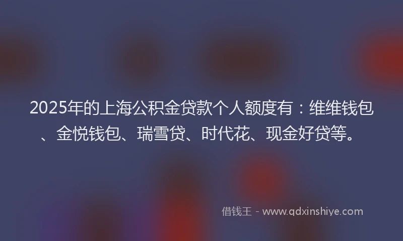 2025年的上海公积金贷款个人额度有：维维钱包、金悦钱包、瑞雪贷、时代花、现金好贷等。