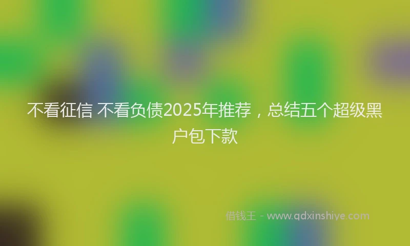 不看征信 不看负债2025年推荐，总结五个超级黑户包下款