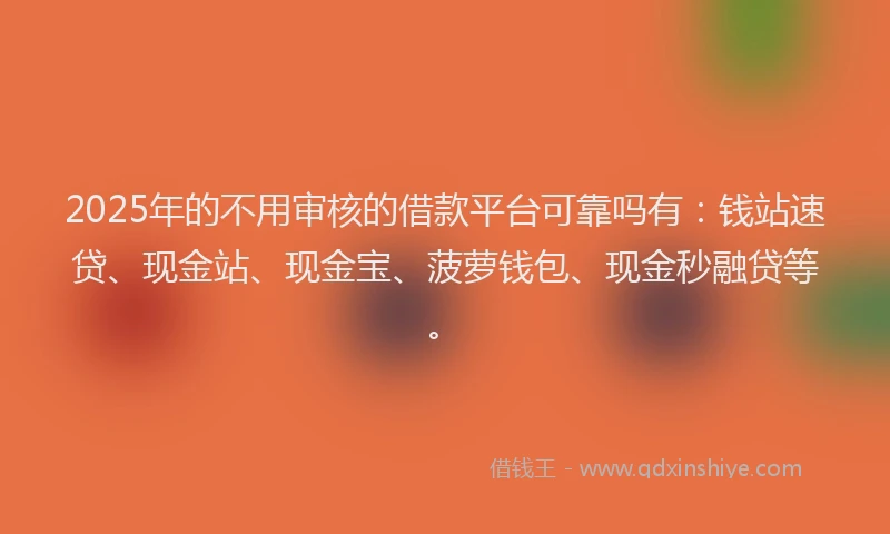 2025年的不用审核的借款平台可靠吗有：钱站速贷、现金站、现金宝、菠萝钱包、现金秒融贷等。