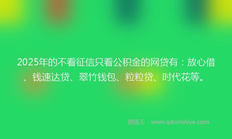 2025年的不看征信只看公积金的网贷有：放心借、钱速达贷、翠竹钱包、粒粒贷、时代花等。