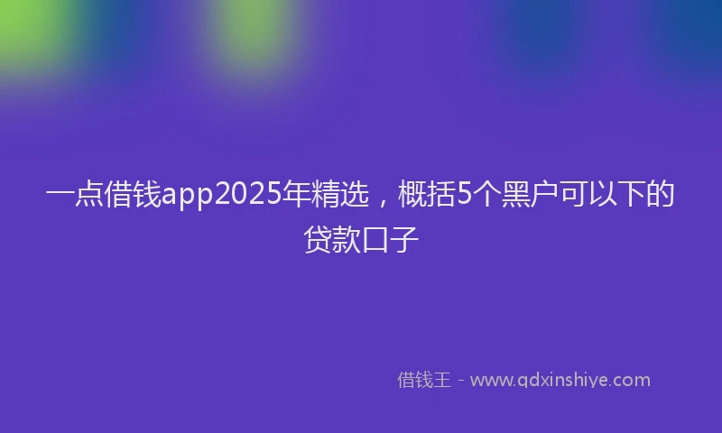 一点借钱app2025年精选，概括5个黑户可以下的贷款口子