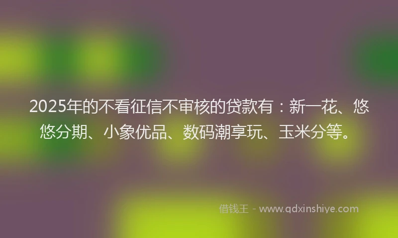 2025年的不看征信不审核的贷款有：新一花、悠悠分期、小象优品、数码潮享玩、玉米分等。