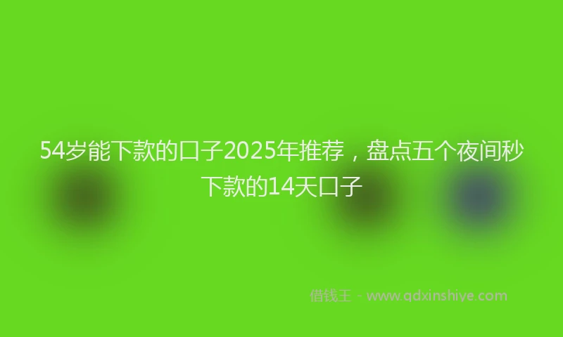 54岁能下款的口子2025年推荐，盘点五个夜间秒下款的14天口子