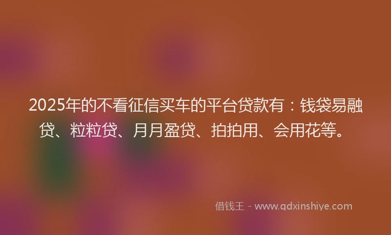 2025年的不看征信买车的平台贷款有：钱袋易融贷、粒粒贷、月月盈贷、拍拍用、会用花等。