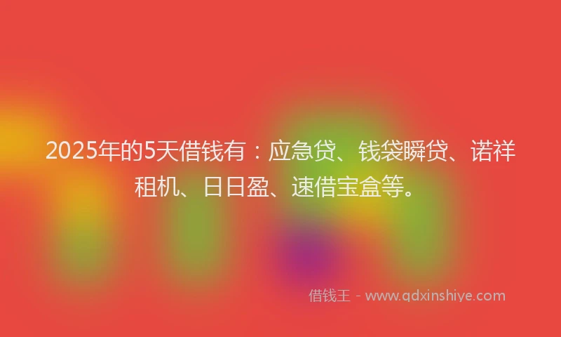 2025年的5天借钱有：应急贷、钱袋瞬贷、诺祥租机、日日盈、速借宝盒等。