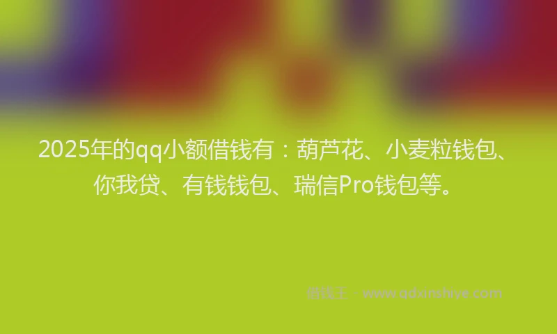 2025年的qq小额借钱有：葫芦花、小麦粒钱包、你我贷、有钱钱包、瑞信Pro钱包等。