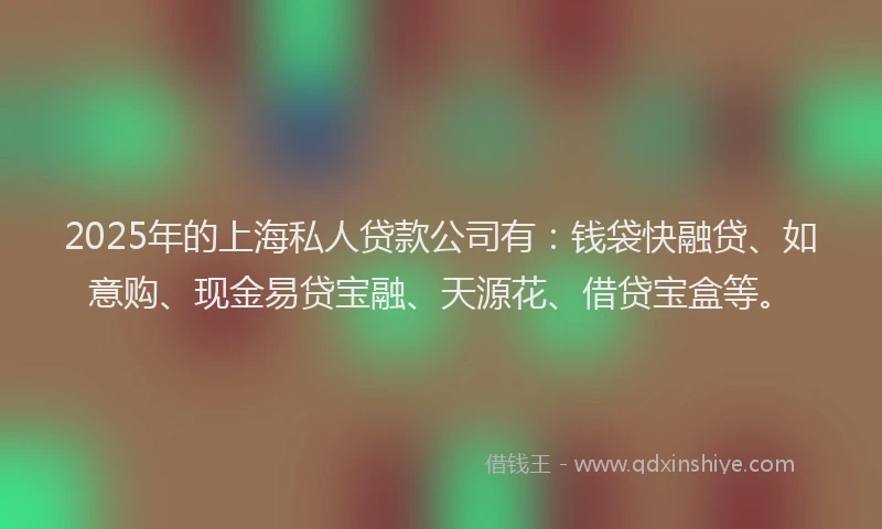 2025年的上海私人贷款公司有：钱袋快融贷、如意购、现金易贷宝融、天源花、借贷宝盒等。