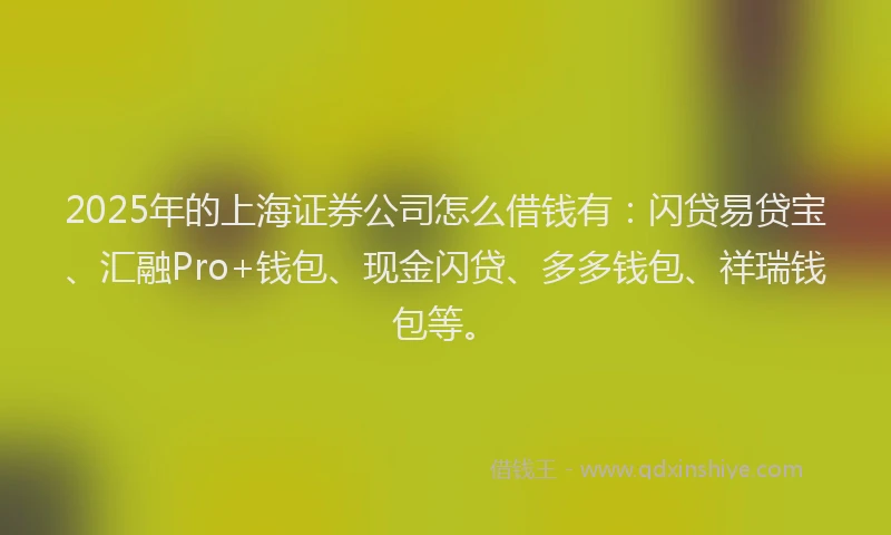 2025年的上海证券公司怎么借钱有：闪贷易贷宝、汇融Pro+钱包、现金闪贷、多多钱包、祥瑞钱包等。