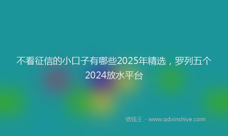 不看征信的小口子有哪些2025年精选，罗列五个2024放水平台