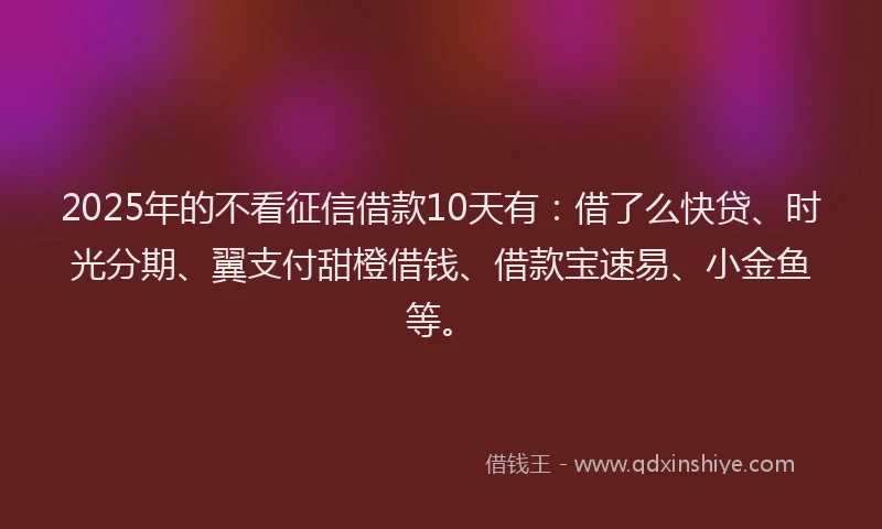 2025年的不看征信借款10天有：借了么快贷、时光分期、翼支付甜橙借钱、借款宝速易、小金鱼等。