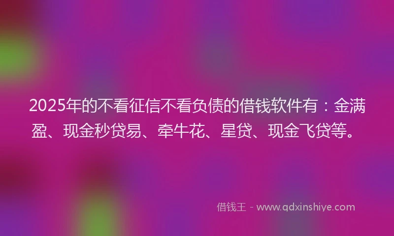 2025年的不看征信不看负债的借钱软件有：金满盈、现金秒贷易、牵牛花、星贷、现金飞贷等。