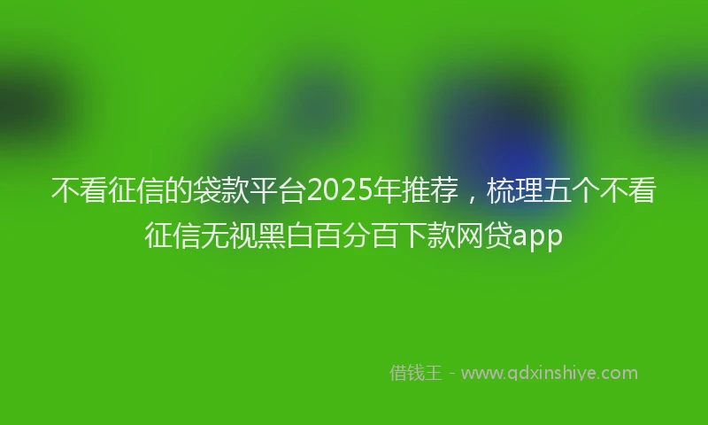 不看征信的袋款平台2025年推荐，梳理五个不看征信无视黑白百分百下款网贷app
