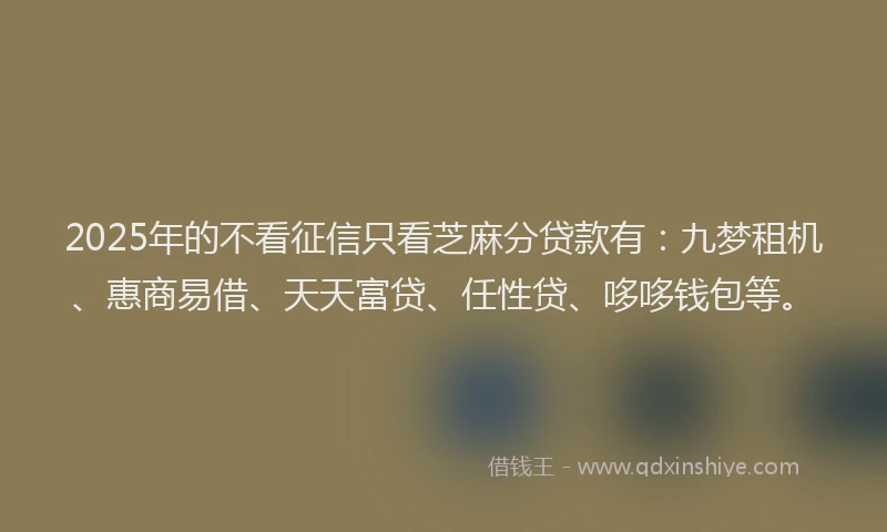 2025年的不看征信只看芝麻分贷款有：九梦租机、惠商易借、天天富贷、任性贷、哆哆钱包等。