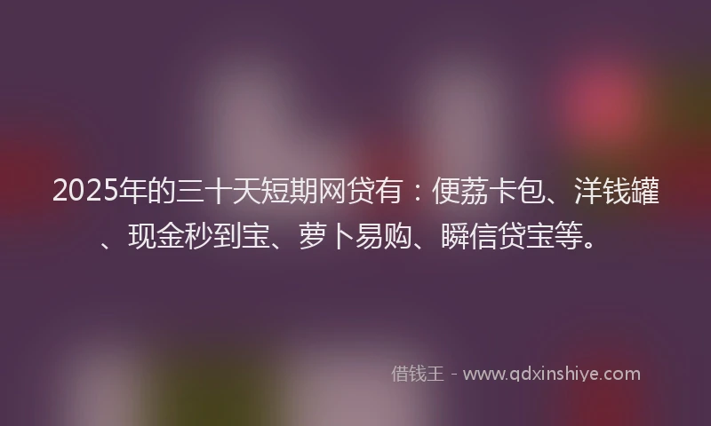 2025年的三十天短期网贷有：便荔卡包、洋钱罐、现金秒到宝、萝卜易购、瞬信贷宝等。