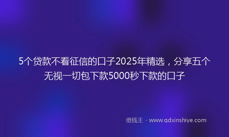 5个贷款不看征信的口子2025年精选，分享五个无视一切包下款5000秒下款的口子
