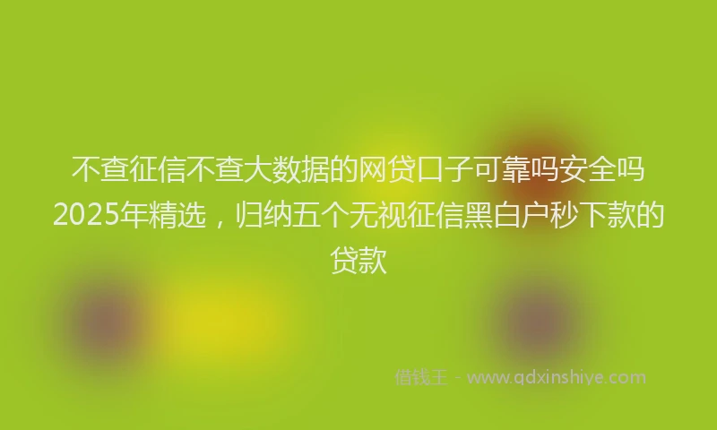不查征信不查大数据的网贷口子可靠吗安全吗2025年精选，归纳五个无视征信黑白户秒下款的贷款