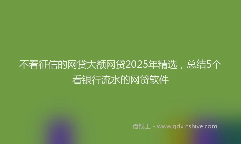 不看征信的网贷大额网贷2025年精选，总结5个看银行流水的网贷软件