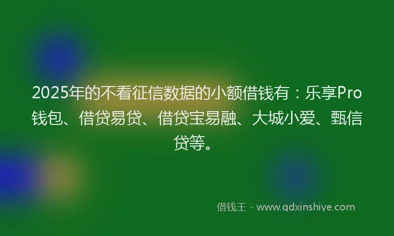 2025年的不看征信数据的小额借钱有：乐享Pro钱包、借贷易贷、借贷宝易融、大城小爱、甄信贷等。