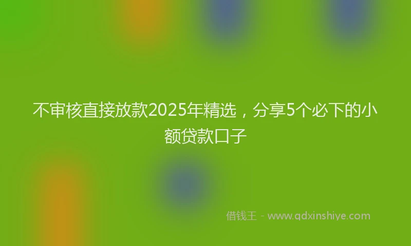 不审核直接放款2025年精选，分享5个必下的小额贷款口子