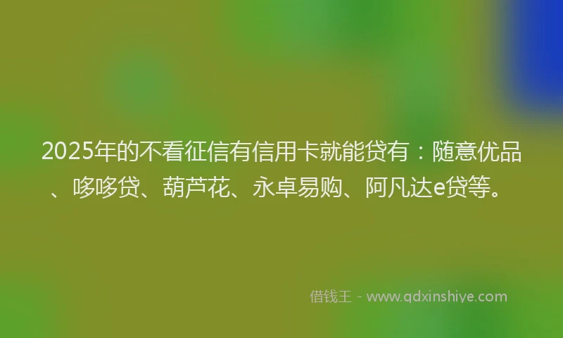 2025年的不看征信有信用卡就能贷有：随意优品、哆哆贷、葫芦花、永卓易购、阿凡达e贷等。