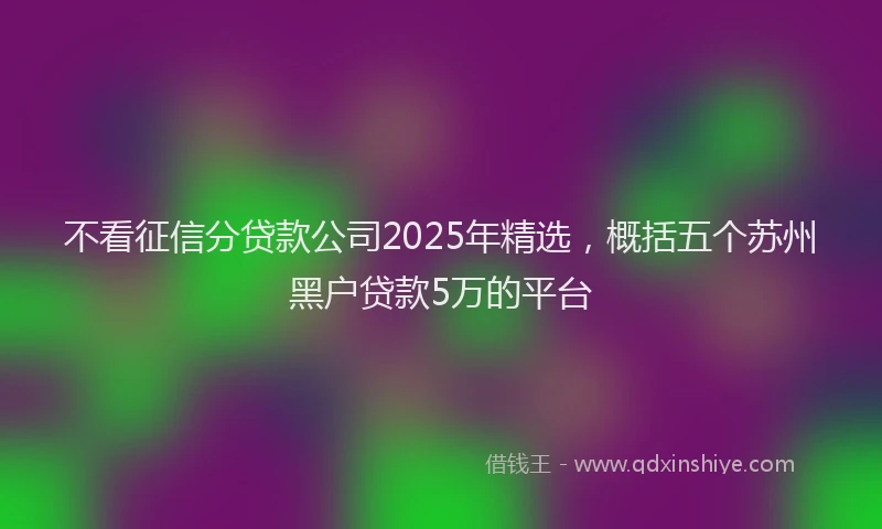 不看征信分贷款公司2025年精选，概括五个苏州黑户贷款5万的平台