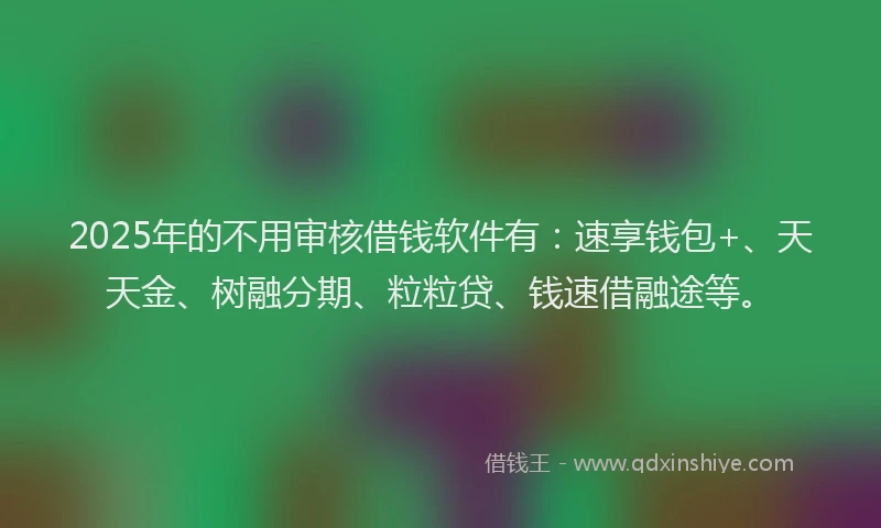 2025年的不用审核借钱软件有：速享钱包+、天天金、树融分期、粒粒贷、钱速借融途等。