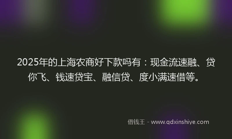 2025年的上海农商好下款吗有：现金流速融、贷你飞、钱速贷宝、融信贷、度小满速借等。