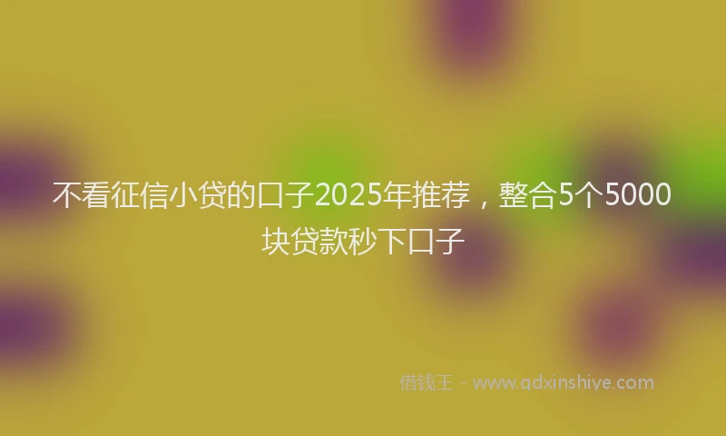 不看征信小贷的口子2025年推荐，整合5个5000块贷款秒下口子