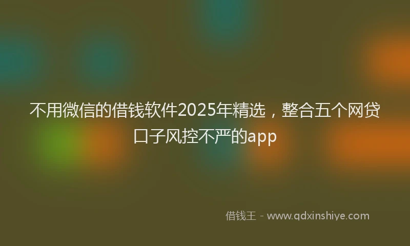 不用微信的借钱软件2025年精选，整合五个网贷口子风控不严的app