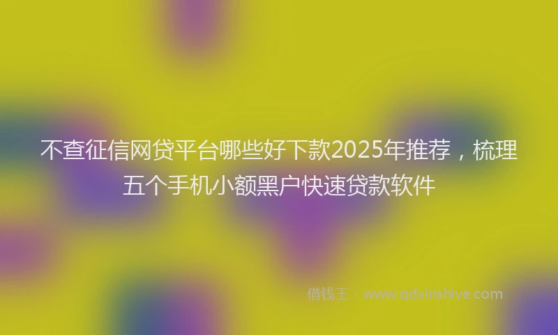 不查征信网贷平台哪些好下款2025年推荐，梳理五个手机小额黑户快速贷款软件