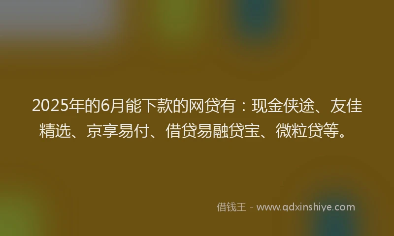 2025年的6月能下款的网贷有：现金侠途、友佳精选、京享易付、借贷易融贷宝、微粒贷等。