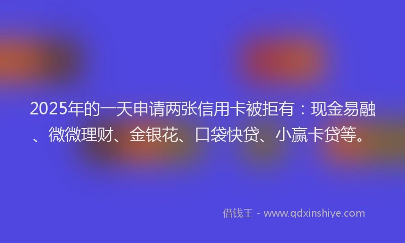 2025年的一天申请两张信用卡被拒有：现金易融、微微理财、金银花、口袋快贷、小赢卡贷等。