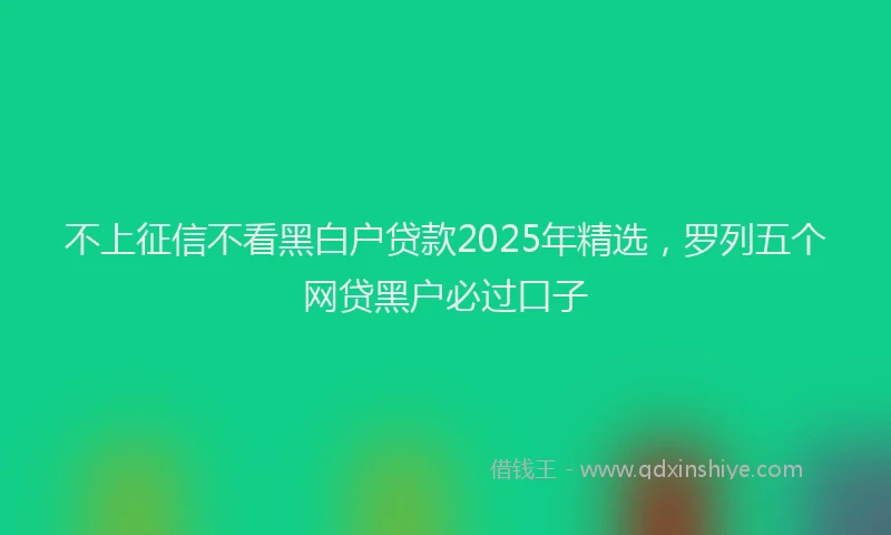 不上征信不看黑白户贷款2025年精选，罗列五个网贷黑户必过口子