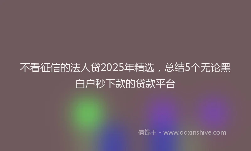不看征信的法人贷2025年精选，总结5个无论黑白户秒下款的贷款平台