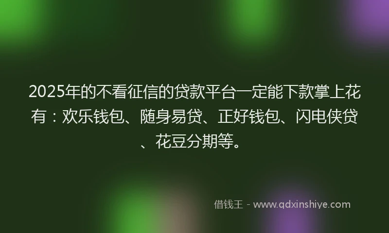 2025年的不看征信的贷款平台一定能下款掌上花有：欢乐钱包、随身易贷、正好钱包、闪电侠贷、花豆分期等。